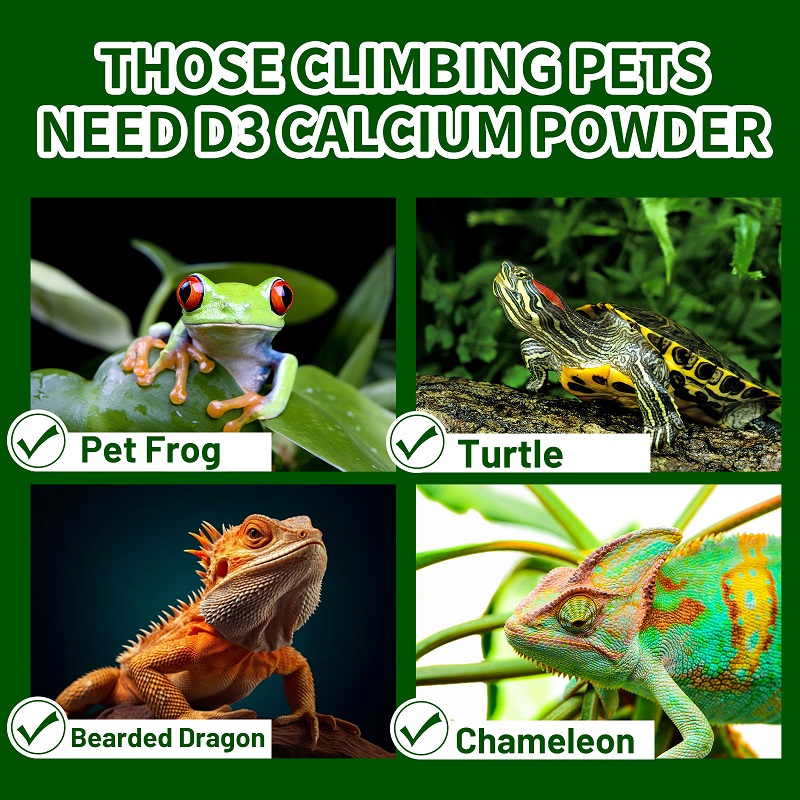 Crawling Pet Vitamin D3 Calciu - Calcium Powder Reptile ulasan dan harga