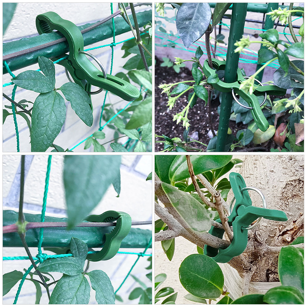 60Pcs Plant Support Clips for  - Vine Climbing Plastic ulasan dan harga