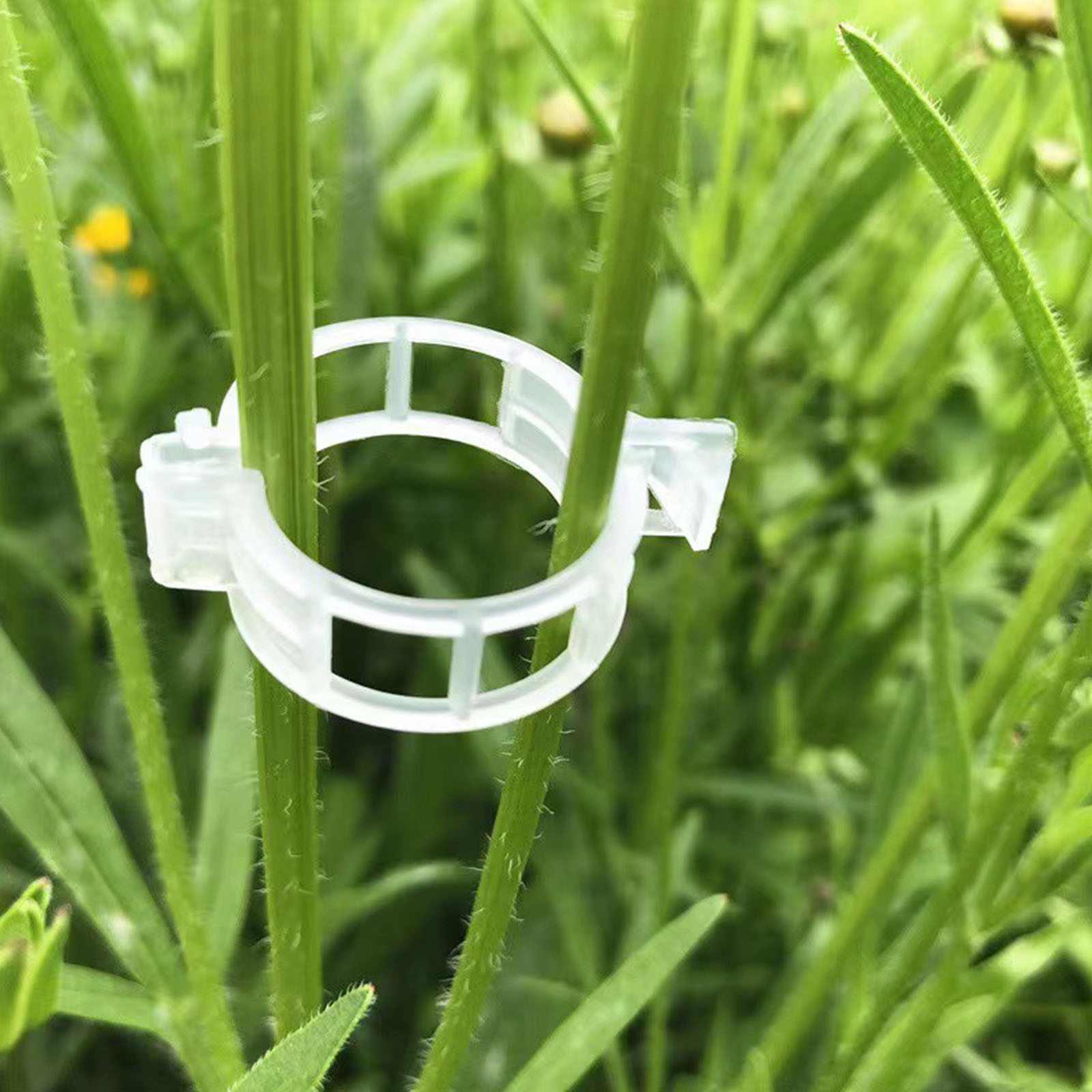 Secured Plastic Plant Clip for - Vine Climbing Plastic ulasan dan harga