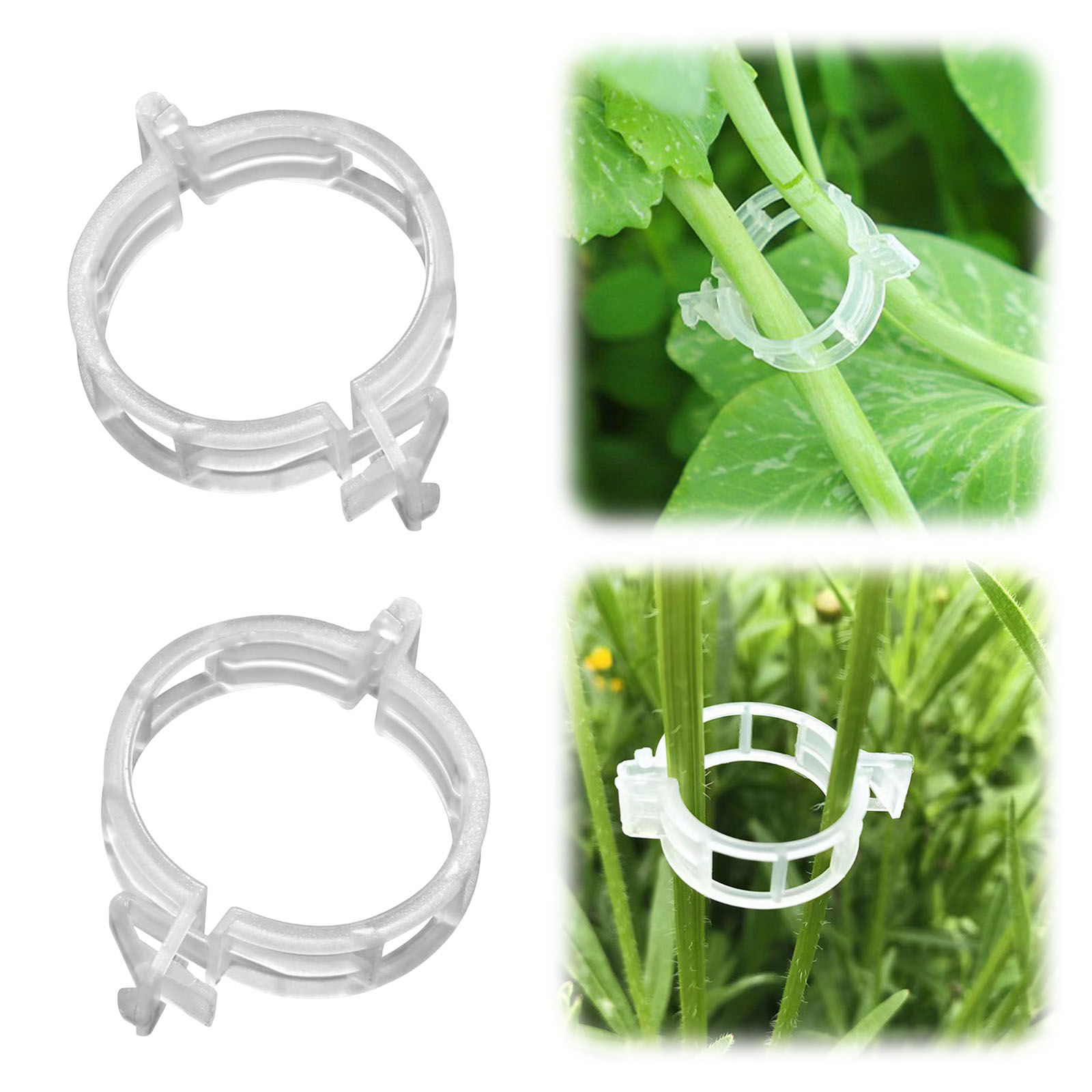 Secured Plastic Plant Clip for - Vine Climbing Plastic ulasan dan harga